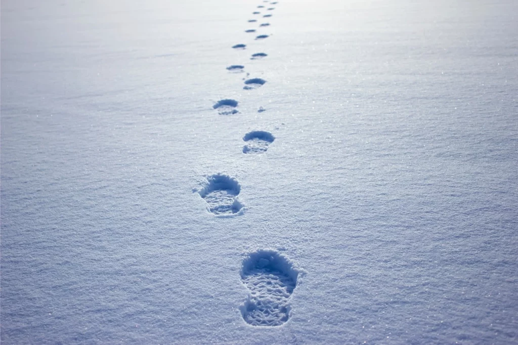 Photographie de pas dans la neige